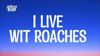 I Live With Roaches  Tiktok Song Lyrics [upl. by Tiffani418]