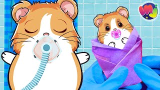 🐶 HAMSTER EMBARAZADA TIENE un BEBÉ en el HOSPITAL 🤰 [upl. by Naitirb]