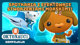 Oktonauci  💦 Spotkania z efektownie stworzeniami morskimi 🦑  Kompilacja  Całe odcinki [upl. by Adolfo842]