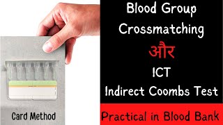 Blood Group Crossmatching  ICT Indirect coombs Test  Practical  Blood Bank [upl. by Aydni]