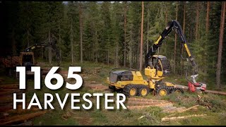 Tigercat 1165 Harvester working with the 1075C Forwarder in Sweden [upl. by Ellekcim758]