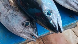 Live 04 Aug 24 ‼️🔥 Cutting fresh yellowfin tuna by skilled hands at Sorong market in Indonesia [upl. by Svoboda968]