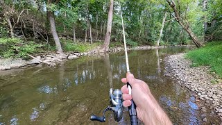 Creek Fishing for TROUT with Inline Spinners [upl. by Rokach]