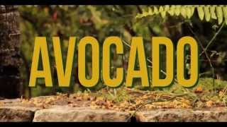 Jah9  Avocado Official Video [upl. by Mungo]