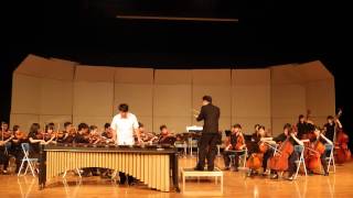 Emmanuel SejourneMarimba Concerto mov 1 performance by TingChun Yeh [upl. by Arvid]