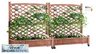 VEVOR 2PCS Raised Garden Bed with Trellis 60quotx13quotx614quot Outdoor Raised Wood Planters Review [upl. by Haikezeh]