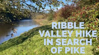 Ribble Valley Hike in search of Pike [upl. by Sonja]