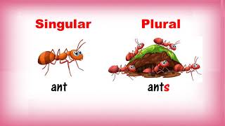 Singular and Plural Nouns  Class 1  CBSE [upl. by Warder]