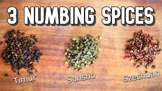 What is TIMUR PEPPER  How to Use this Nepalese Spice Related to Szechuan Pepper  Spice Finds [upl. by Bealle840]