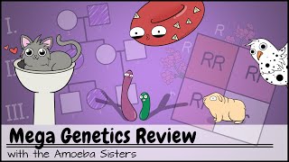 Mega Genetics Review [upl. by Oiled]