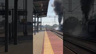 Ty42107 z pociągiem retro relacji Tarnów  Tuchów shorts kolej pkp train railway [upl. by Luna]