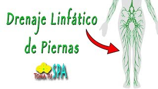 DRENAJE LINFÁTICO DE PIERNAS EN TRES PASOS AUTOMASAJE [upl. by Siroled]