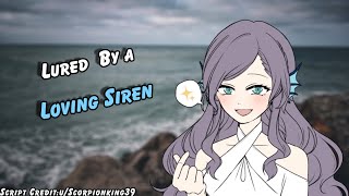 ASMR Lured in by a Loving Siren [upl. by Aiynat775]