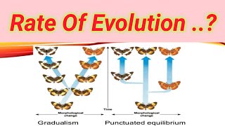 Rate of evolution  Lecture no  32 [upl. by Letty215]