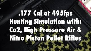 Air Rifle Rabbit Hunting Ballistics using the Crosman 1077 and MTR77 and Umarex Beretta CX4 Storm [upl. by Neyr105]