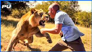 12 Safari Trips That Went HORRIBLY Wrong [upl. by Ecinhoj]