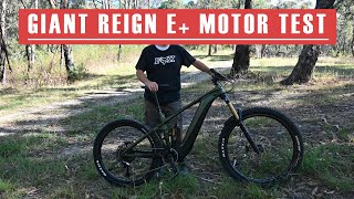 2022 Giant Reign E V Bosch V Brose V Shimano Hill Climb Test [upl. by Alegnat26]