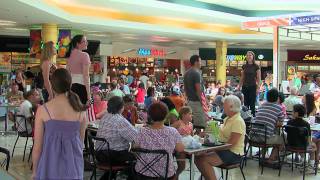 Food Court Flash Mob  America The Beautiful  Must See [upl. by Roye]