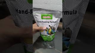 Best hand feeding formula for Cockatiel handfeeding petslife handfeedingfor lovebirds [upl. by Landes]