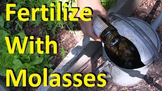 How to Fertilize Your Garden With Molasses [upl. by Nosloc]