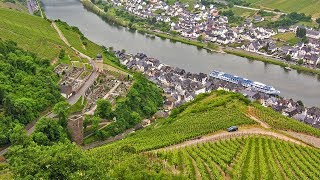 German Riesling Wine Journey [upl. by Merth527]