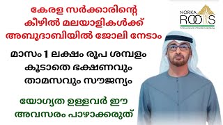 Norka RootsJob Vacancy in abudhabiUae jobs malayalamGulf jobs in malayalam [upl. by Remington]