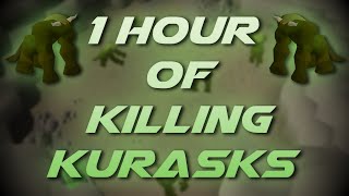 Slaying Kurasks  Testing OSRS Wiki Money Making Methods [upl. by Eineeuq]