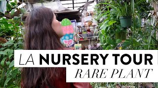 RARE HOUSEPLANT SHOPPING  TOP PLANT NURSERY IN LOS ANGELES  San Gabriel Nursery [upl. by Notled728]