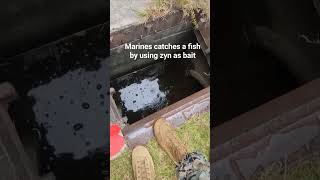 marines catches a fish by using zyn as bait marinecorps semperfi usmilitary usa [upl. by Yusuk]