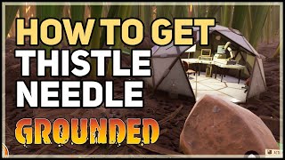 How to get Thistle Needle Grounded [upl. by Igal906]