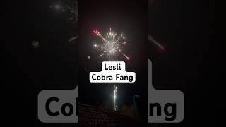 Lesli Cobra Fang shorts fireworks mrpyromanager pyro experiment böller firecracker feuerwerk [upl. by Claresta145]