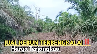 KEBUN TERBENGKALAI MAU DIJUAL‼️ [upl. by Eedissac162]