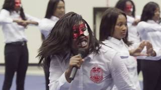 RECAP Delta Sigma Theta  Alpha XI  Spring 18 Neophyte Presentation [upl. by Rehctelf220]