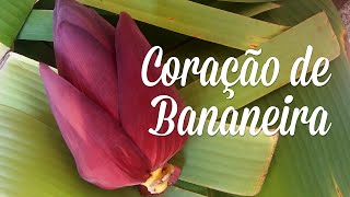 Coração de Bananeira  Testando um ingrediente [upl. by Bevin]