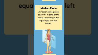 Body planes Basic Anatomy Medical Minute [upl. by Cohe960]