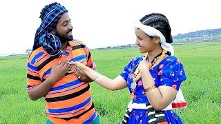 Efrem Gebremichael  Tadye  ታድዬ  New Ethiopian Music 2017 Official Video [upl. by Eitsirhc]