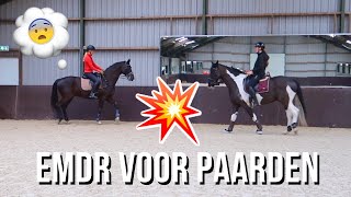 TRAUMA THERAPIE VOOR PAARDEN ESDR Grand prix paard bang voor tegenliggers [upl. by Keriann]