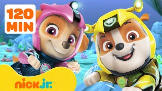 PAW Patrol  ¡Rescates PAW Patrol en todos lados menos Bahía Aventura 💥 2 horas  Nick Jr [upl. by Irem]