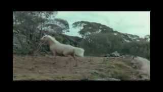 Susan Boyle  Wild Horses [upl. by Eisoj]