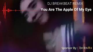 Dj Those Bygone Years Ost You Are My Apple Of My Eye Remix Breakbeat [upl. by Borlow]