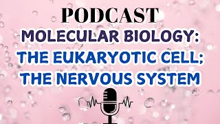 MOLECULAR BIOLOGYTHE EUKARYOTIC CELL THE NERVOUS SYSTEM [upl. by Saylor495]