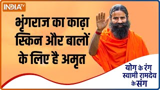 Yoga Tips Bhringrajs Decoction is Good for Skin and Hair Know How to Make it from Swami Ramdev [upl. by Ziwot11]