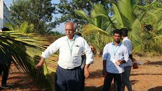 Management of Rugose Spiraling Whitefly  Dr S Sridharan Principal [upl. by Crandell893]