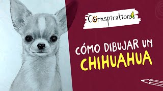 Cómo dibujar un Chihuahua con Lápices 🐾 Paso a Paso [upl. by Eberhart]