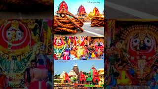 TO SHREE MANDIRA SARA BULI ASILI KALIARE KAHILUNI BAS BOLI⭕❗⭕ NEW JAGANNATH STATUS VIDEO ✨ NEW ODIA [upl. by Arelc]