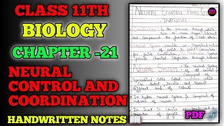 Class 11 Biology  Chapter 21  NEUTRAL CONTROL AND COORDINATION  HANDWRITTEN NOTES hrsneet [upl. by Cressi]