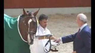 Présentation SBS  Chevaux 3 ans  Medaille du Roi [upl. by Gelman]