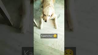 Ka bole be  Kaamchor or hum tum hoge 😏😏shortsviral ytshorts funny [upl. by Noyerb]