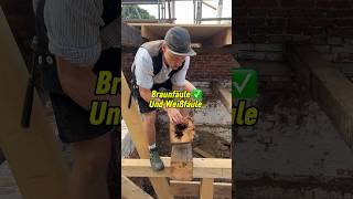 Braunfäule VS Weißfäule erkennen bei Balkenkopfsanierungen handwerk diy shorts woodworking [upl. by Fogg36]