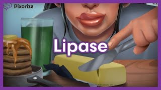 Lipase Mnemonic for MCAT [upl. by Groves897]